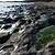 tide pools near florence oregon