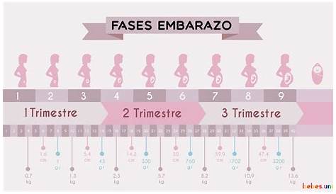 Tiempo entre Embarazos – Infogen
