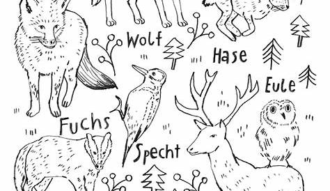 95+ Tiere Wald Zeichnung | Satoumitsuha
