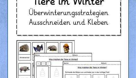 Tiere im Winter - Klasse 2 - Stationsarbeit – Unterrichtsmaterial im