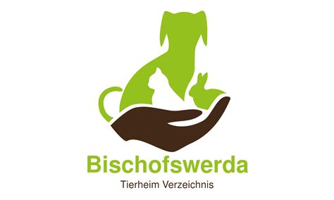 Problemhunde halten Tierheim Horka auf Trab Sächsische.de