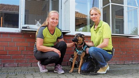 tierheim schwarzenbek