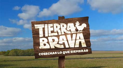 tierra brava canal 13 youtube