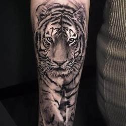 Tiger And Cub Tattoo Forearm