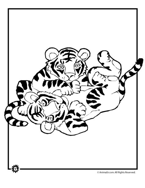 tiger and her cubs coloring pages to print