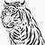 tiger coloring page printable