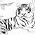 tiger coloring pages free printable