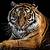 tiger desktop wallpaper free