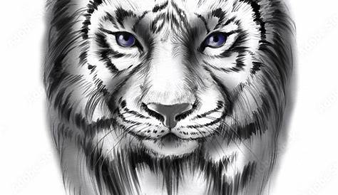 Tiger Face Tattoo Black And White Simple By Maria87 On DeviantART Small