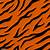 tiger stripes template