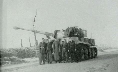 tiger 342