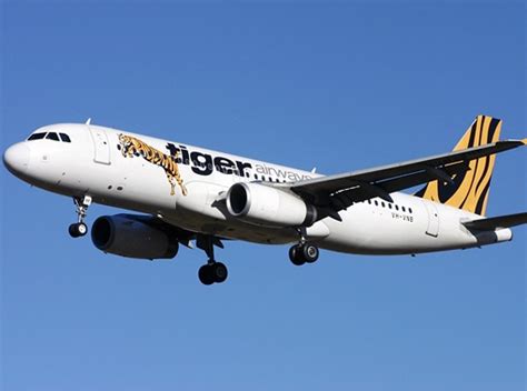 tiger airways domestic flights