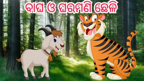 tiger and goat story
