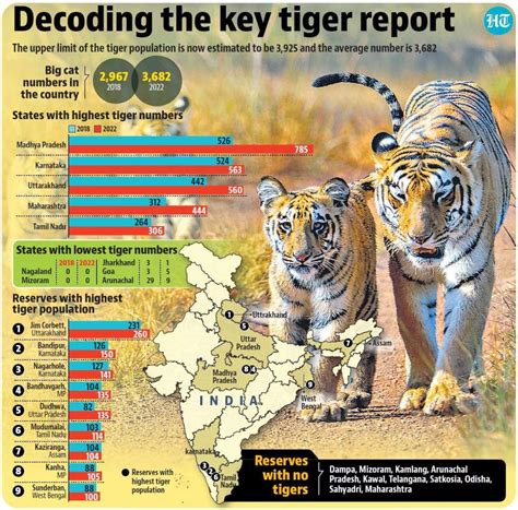 tiger census 2023