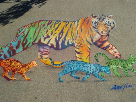 Tiger Chalk Drawing Easy