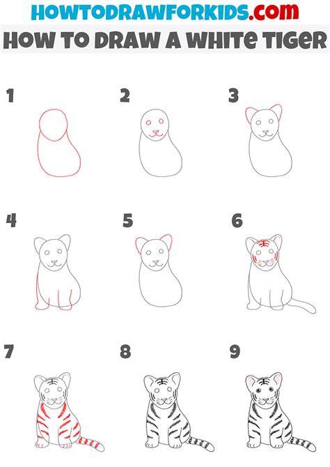 How to Draw a Tiger Head