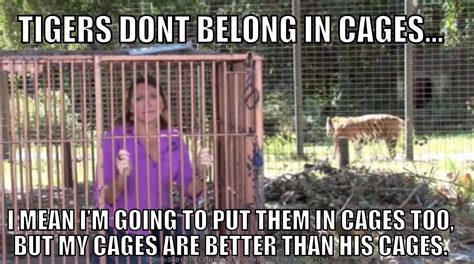 tiger in cage meme