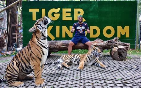 tiger kingdom phuket age limit