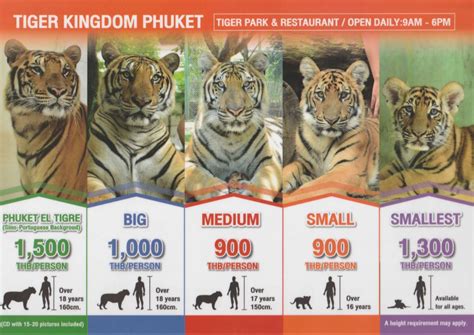 tiger kingdom phuket tickets online