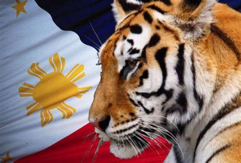 tiger of the philippines