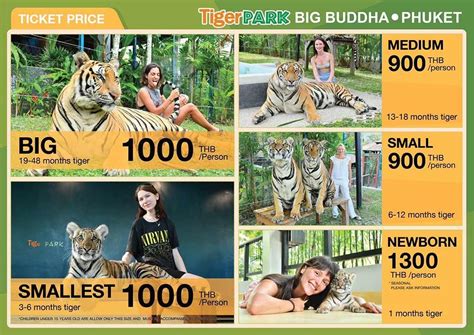 tiger park phuket price