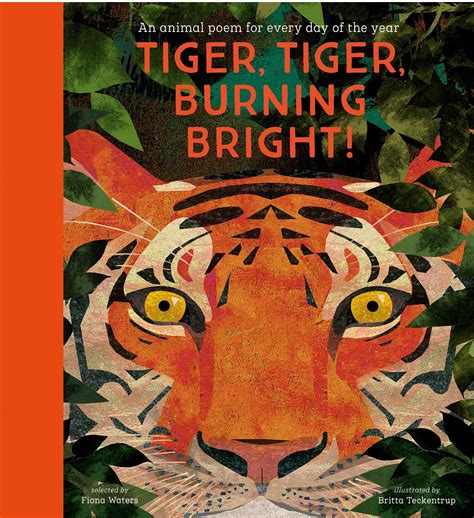tiger tiger tiger book