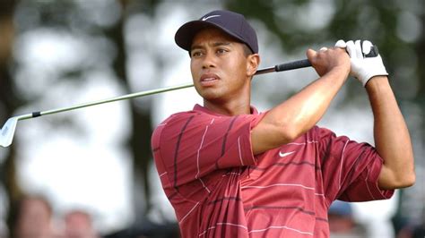 tiger woods biography example