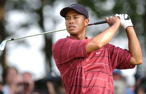 tiger woods biography review