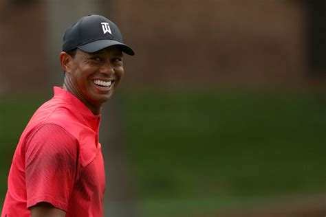 tiger woods wins by season