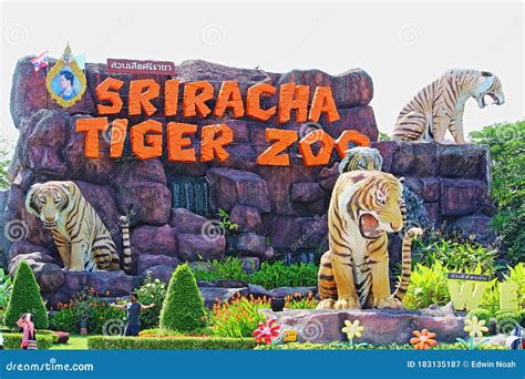 tiger zoo in bangkok
