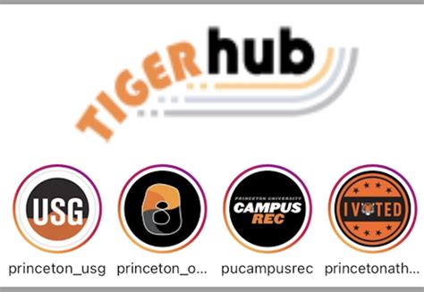 tigerhub sign in