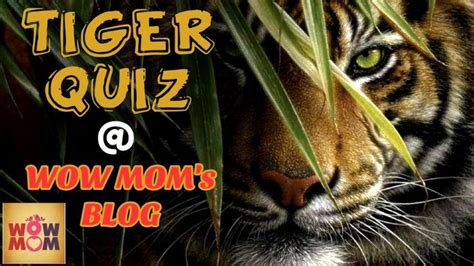 Tiger Quiz Wiz Cartridge Soap Operas 44 Vintage 1993 Tiger Brand New