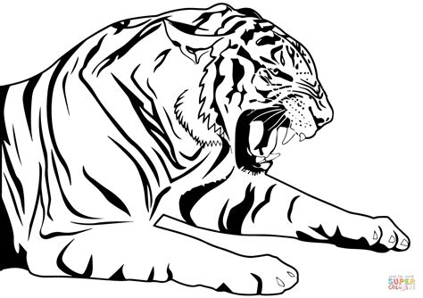 Una tigre disegni da colorare disegni da colorare e