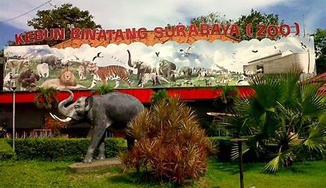 Surabaya Zoo|PD. Taman Satwa KBS