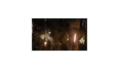2Pack TIKI Torches with Solar Charging LED Lights
