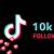 tiktok followers free 10000