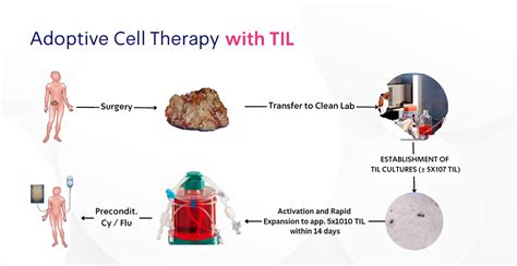 til cancer treatment for melanoma