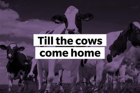 til the cows come home expression