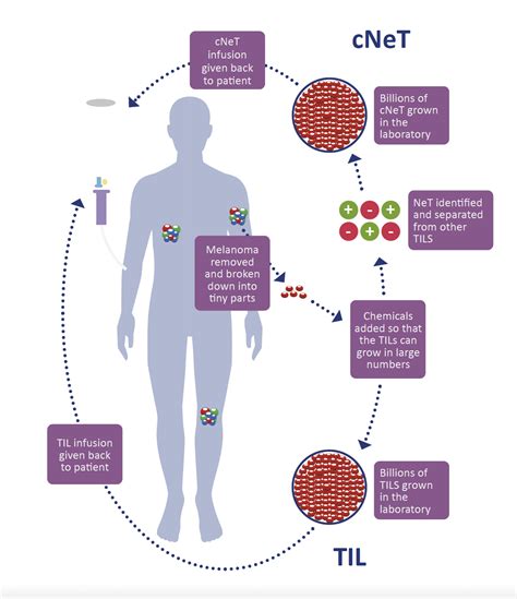 til therapy cancer treatment