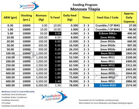 Tilapia Feeding Program