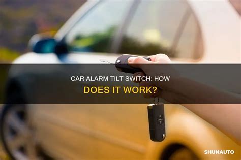 tilt sensor car alarm