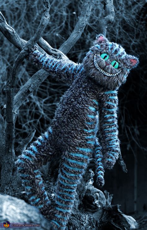 cheshire cat chester alice in wonderl costumes Buscar con Google