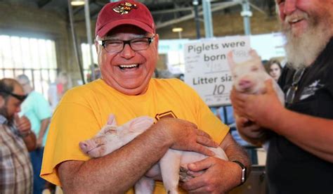 tim.walz pig