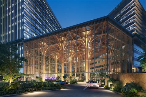 timber Is ever central