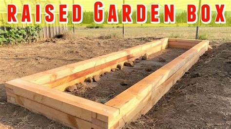 Timber For Building Raised Beds