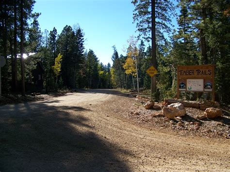 Timber Trails Rentals
