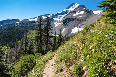 timberline trail mt hood