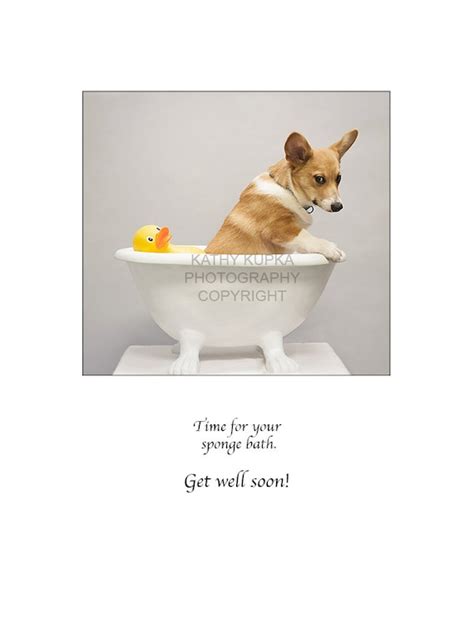 Topics Time For Your Spongebath Updated