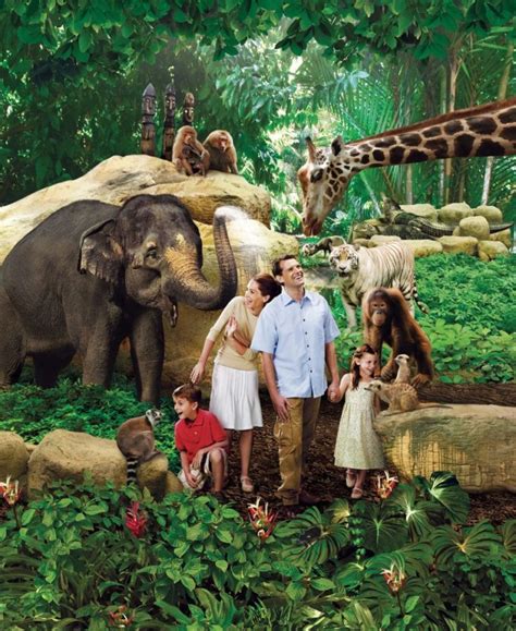 time required for singapore zoo