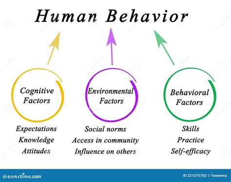 time zone's influence on human behavior